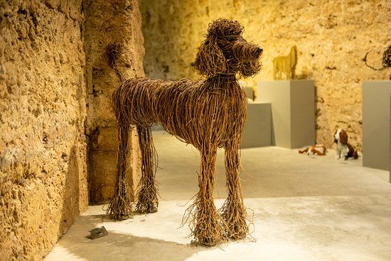 Nirit Levav Packer Art Gallery